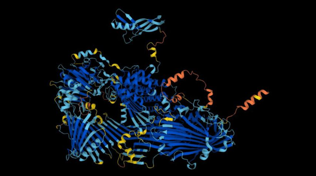 e15482ee63eb75c9e0412d6e7b939379